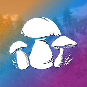 Mushroom Hunting Simulator 3D