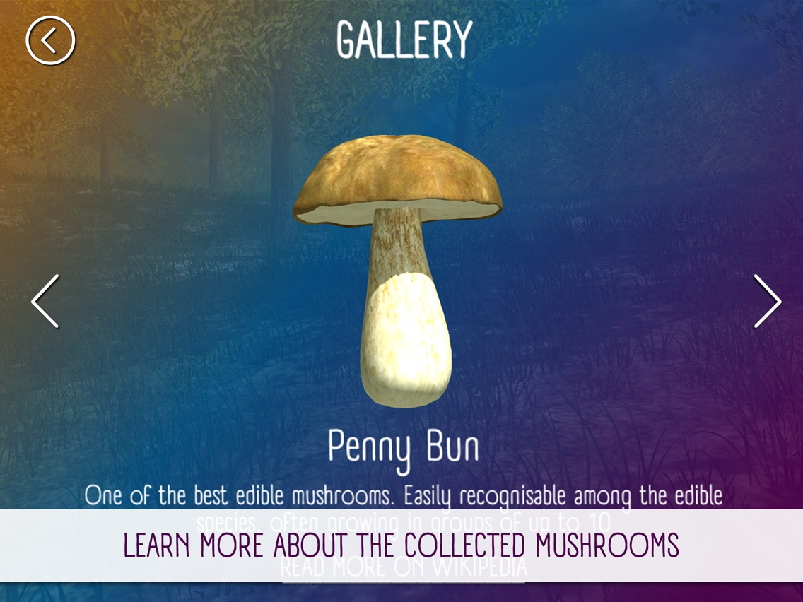 Mushroom Hunting Simulator 3D poster