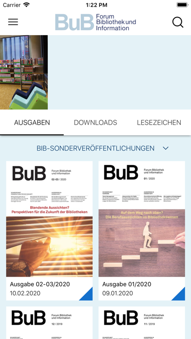 BuB poster