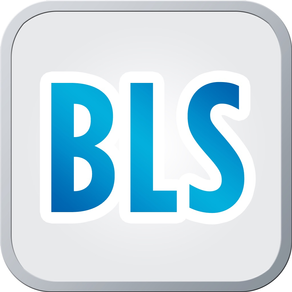 Build Lasting Success (BLS)