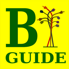 Bayeux Guide
