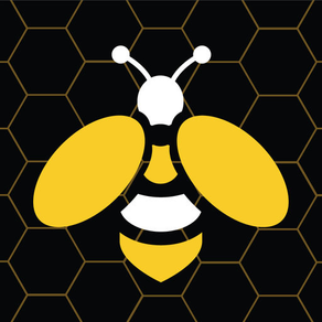 Honey Hive Game