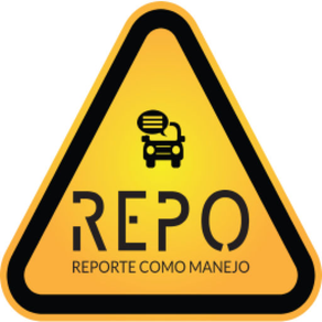 Reporte Total REPO