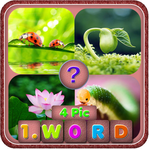 4 Pics 1 Word-Guess the word