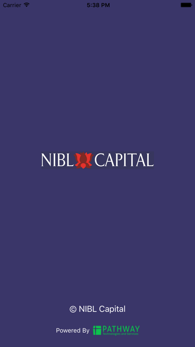 NIBL Capital الملصق