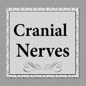 Cranial Nerves Plus