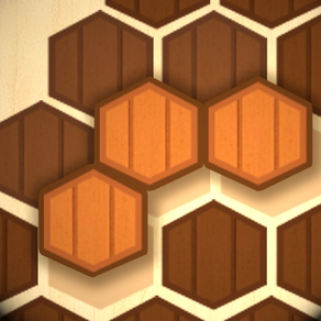 Wooden Hexa Puzzle