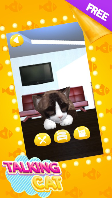 Talking Cat Cute poster