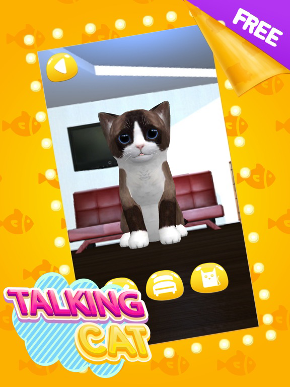 Talking Cat Cute poster