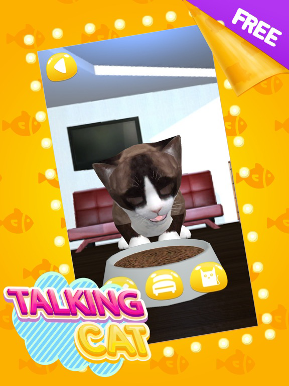 Talking Cat Cute poster