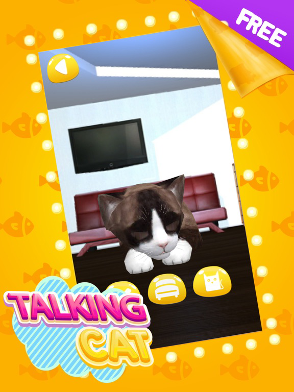 Talking Cat Cute poster