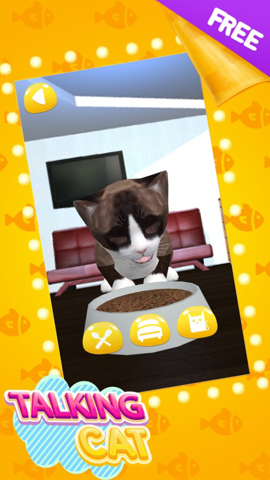 Talking Cat Cute poster