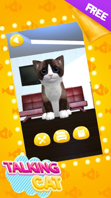Talking Cat Cute poster