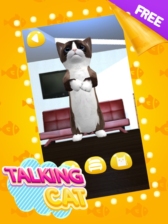 Talking Cat Cute poster