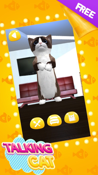 Talking Cat Cute poster
