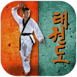 Taekwondo Pro