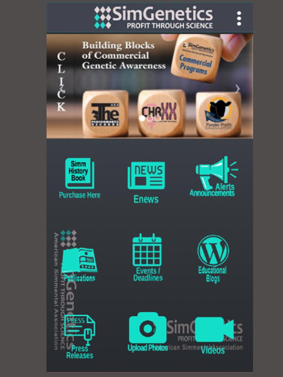 SimmAPP poster