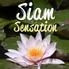 Siam Sensation