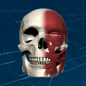 Face 3D Plus