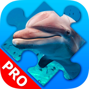 Dolphin Jigsaw Puzzles beautiful Scenery. Premium