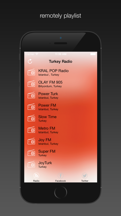 Turkey Radio Station poster