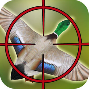Wild Bird Hunting Sim