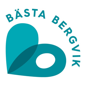 Bergvik