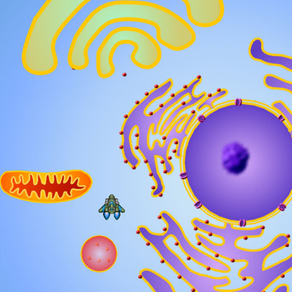 Cell Explorer: The Animal Cell