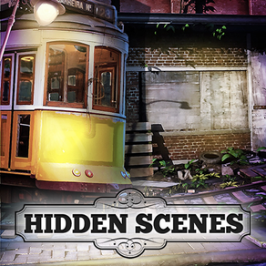 Hidden Scenes Mystery Puzzle