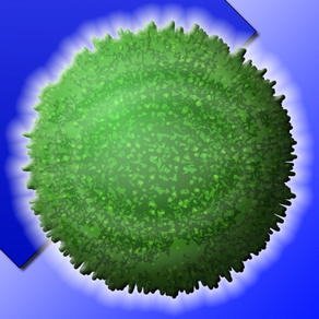 超級潛水毬藻
