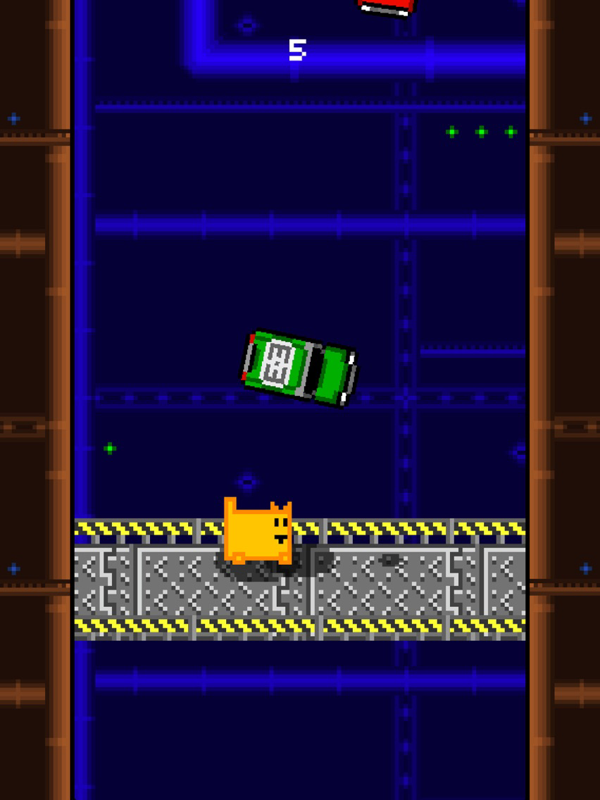 Box Cat Bash poster