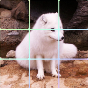 Animal - Sliding Square Puzzle