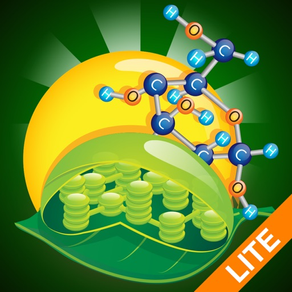 Biology Photosynthesis Pro