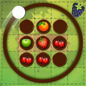 Circle Fruit Touch 2