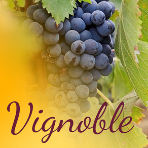 Vignoble