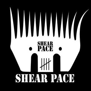 Shear Pace, Shed Version