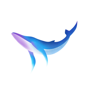 DolphinPaper