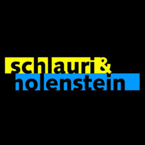 Schlauri & Holenstein AG aus Wi