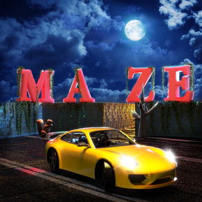 Car Parking In Maze