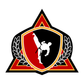 Haynes Martial Arts Academy