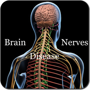 Brain and Nerves Disease