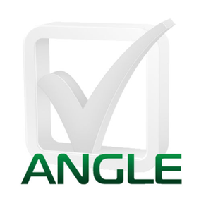 Angle Financial and Business