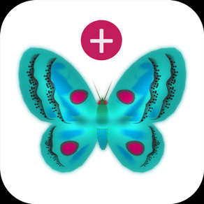 Butterfly Math Addition