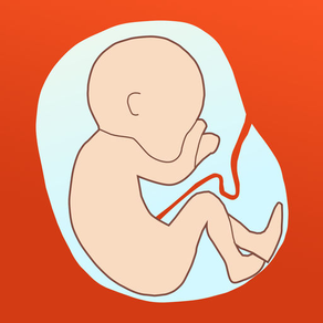 Hava a Baby - Your pregnancy assistant