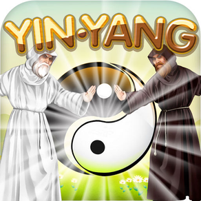 Physics Puzzle Shaolin Mystery of Yin and Yang