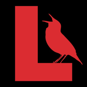 Learn Bird Watching—Larkwire