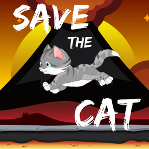 Salve esse gato