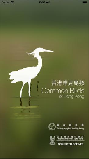 HKcBirds: Common Birds of HK