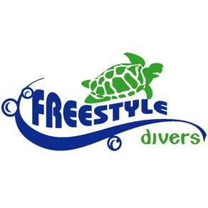 Freestyle Divers