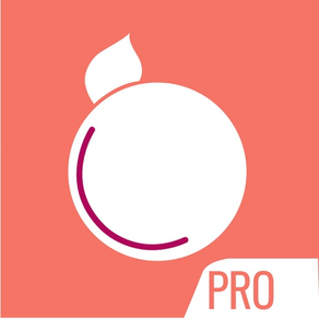 StylePlum Pro